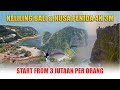 Paket Tour Bali & Nusa Penida 4 Hari 3 Malam!!! Trip Hemat Cuma 3 Jutaan Per Orang (BTH 254 B)