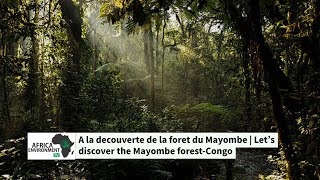 Green Code:La Foret de Mayombe | Mayombe forest-Congo