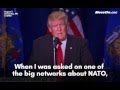 Donald Trump **admits** to knowing little about NATO.