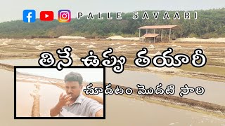 ఉప్పు తయారీ || salt making || salt sea || palle savaari