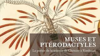 POÉSIE 19e – la POÉSIE SCIENTIFIQUE : de la muse au ptérodactyle (RTS, 2014)