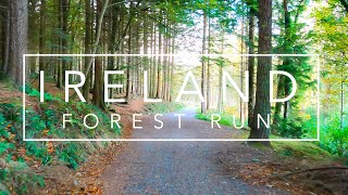 Virtual running videos for treadmill 4K | Virtual forest run | Virtual jogging scenery Ireland
