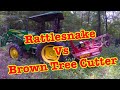 HUGE RATTLESNAKE vs. THE BROWN TREE CUTTER 😲😲😲