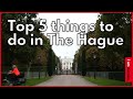 Top 5 things to do in The Hague | I amsterdam