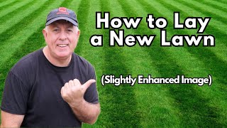 Your Complete Guide to a Flawless New Lawn