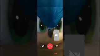 Videollamada con Sonic