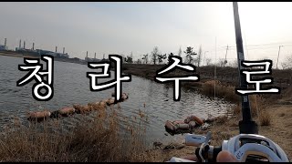 낚금해제 인천 청라수로에 배스낚시 다녀왔습니다