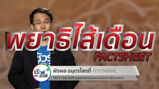 ชัวร์ก่อนแชร์ FACTSHEET : พยาธิไส้เดือน