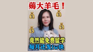 来薅羊毛！教你申请免费留学，还有高工资！