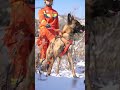 这些消防搜救犬帅不帅 消防員 firefighter 救援 shorts