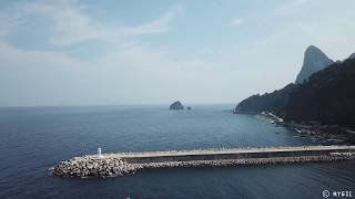 [UW Videography] Ulleungdo Island Scubadiving l 울릉도다이빙