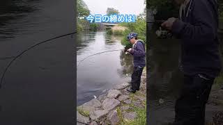 千歳川サーモン橋下流で釣り