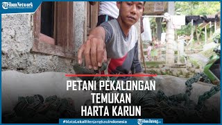 Petani Temukan Harta Karun Uang Koin Kuno