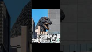 看哥吉拉不用跑 #godzilla #music #映画 #tv #bgm #東京新宿台灣八里也看得到？！#ゴジラ #哥吉拉 #八里哥吉拉 #八里垃圾焚化爐 #google #googlemaps