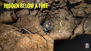 Hidden Warren of Tunnels Below Tree , Old Lead and Calcite Mine Explore paid off !