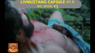 Best Ayurvedic Power Booster Capsule | Livmuztang Capsule | Livmuztang Power Booster