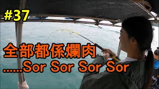 #37 全部都係爛肉...Sor Sor Sor Sor  [#爛肉梳] [#爛糟] [#カライワシ] [#鐵板] [#ジギング][#JIGGING] [#艇釣] [#ギター釣り気持ちいい]