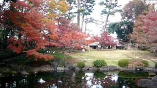 杉並区荻窪「大田黒公園の秋」