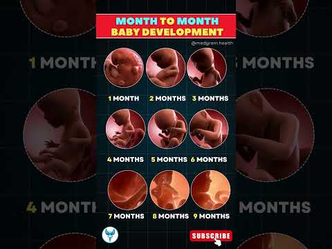 Pregnancy Progress: Detailed Month-by-Month Fetal Development | Baby Bump #shortsfeed #pregnancy