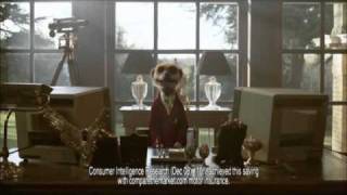 First Compare The Meerkat Advert