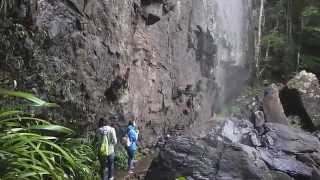 世界遺産　スプリングブルック World Heritage Springbrook National Park