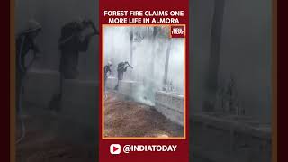 Uttarakhand: Forest fire claims one more life in Almora #shorts