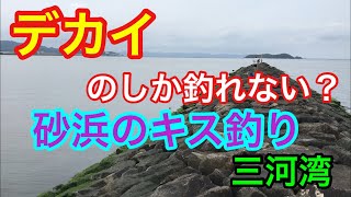 デカイのしか釣れない？砂浜のキス釣り 三河湾