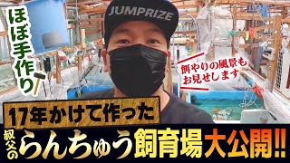 【らんちゅう】叔父の飼育場公開‼︎その後の成育状況や自家産新仔の餌やり風景もご覧ください‼︎