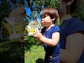 dandelion experiment fun experiment for kids kidsdiyandplay experiment dandelions kidsplay