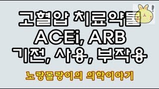 항고혈압치료약제: 안지오텐신 전환효소 억제제(ACE inhibitor)/안지오텐신 수용체 차단제(ARB)