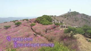 [230419 생방송 시시각각] 🌸비슬산 참꽃 풍경🌸