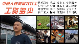 中国在美国加拿大有哪里打工的机会，收入多少？