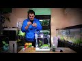 greenaquarium.gr Ενυδρείο 30l 10η μέρα Νιτρικά διοξείδιο και πρόοδος 4k