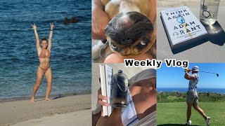 Weekly Vlog #3 | Work, Training \u0026 Gymshark New Releases