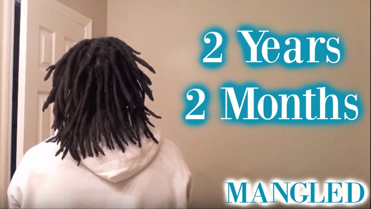 Dreadlock Journey 2 Year 2 Month Youtube