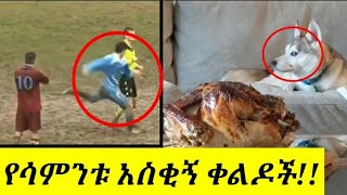 🛑በሳቅ እንዳትሞቱ ተጠንቀቁ!!የሳምንቱ አስቂኝ ቀልዶች ስብስብ ቁጥር 2 |babi| |aser ted|