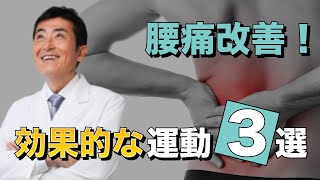 腰痛改善！効果的な運動３選【東大ドクター 森田敏宏】