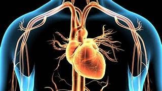 HEART IMBALANCES: TCM Etiology and Pathology