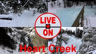 Heart Creek Winter Hike, Frozen Waterfall #hiking