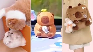 Những Món Đồ CUTE Dễ Thương về Capybara | Phương Cún Channel