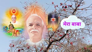 तुम शांतिदूत बनकर आए 🙏❤️ Tum shantidut Bankar aaye ❤️#brahmakumaris #peaceofmind