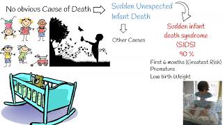 Sudden infant death syndrome (SIDS) and Sudden unexpected infant death