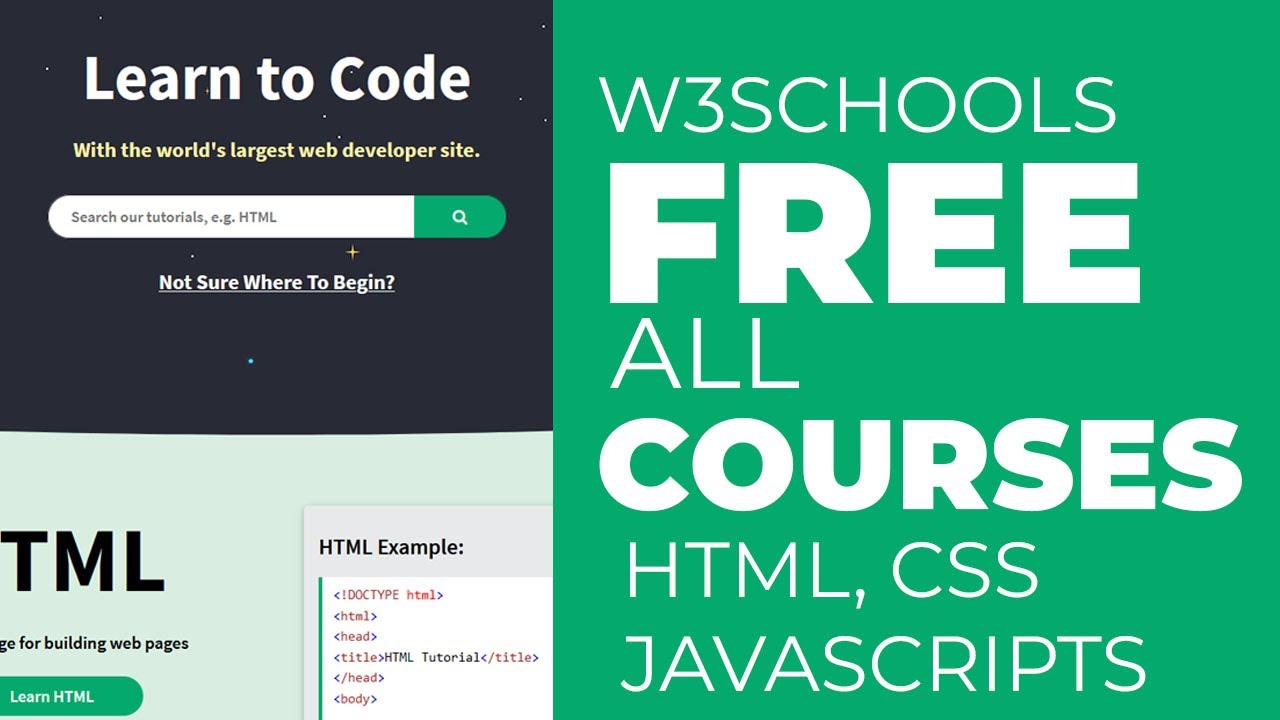 W3Schools HTML Tutorial - HTML Full Course | Learn W3Schools HTML For ...