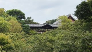 21年9月12日 心地よい京都を歩く 今熊野,泉涌寺, 臥雲橋,通天橋,東福寺 Walk around Kyoto city,Japan vlog