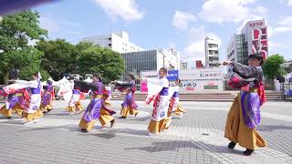 [4K] かざね　よさこい鳴子踊り特別演舞 2022 2日目　中央公園競演場