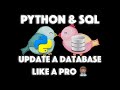 How to Manage a Database with Python, Pandas & SQL - UPDATE a DB professionally [DO NOT SKIP THIS!]