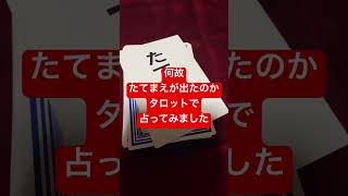 ライフカード占い　#突然ですが占ってもいいですか #ショート #見た時がタイミング #今日の運勢 #占い #ライフカード #shorts #short #リーディング #占い師 #運気アップ