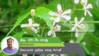 வேப்பமரம் குறித்த செய்தி