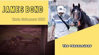 James Bond Kuda Gubernur NTB  Terdepan | Pacuan Kuda Sumbawa  Penyaring