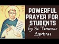 🕊 It’s not easy being a student | school, college, PhDs, postdocs » catholic prayer with captions